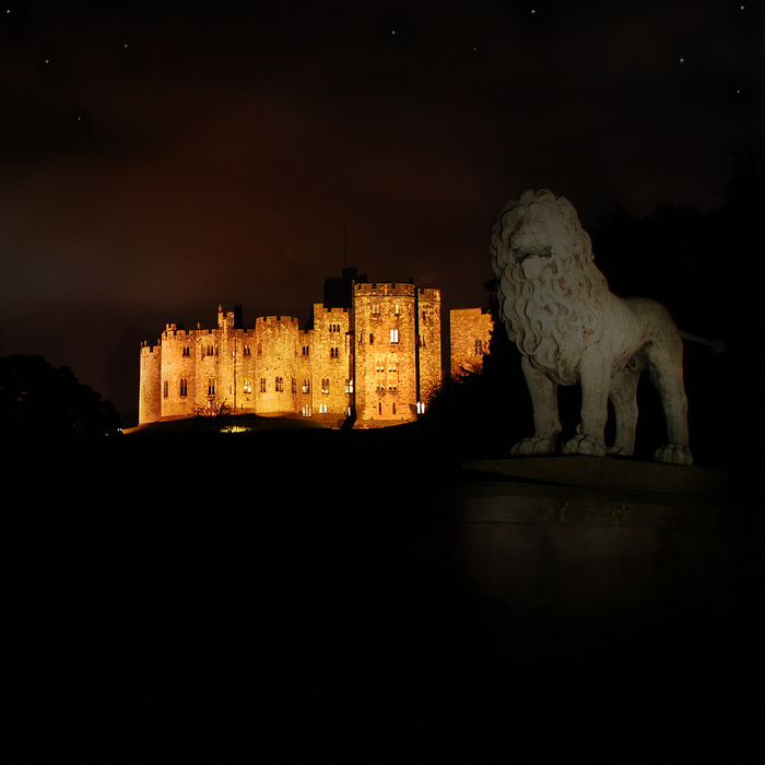 65543794_3005120617_c324ae6943_b.jpg 65543794_3005120617_c324ae6943_b.jpg