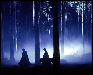 ForbiddenForest.jpg ForbiddenForest.jpg