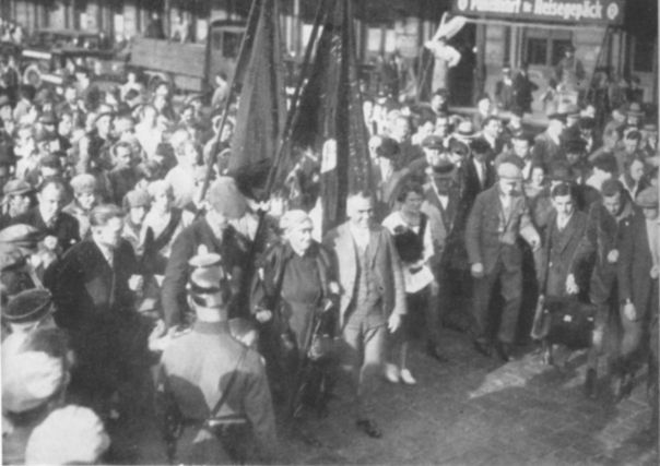 2525433_900.jpg 2525433_900.jpg