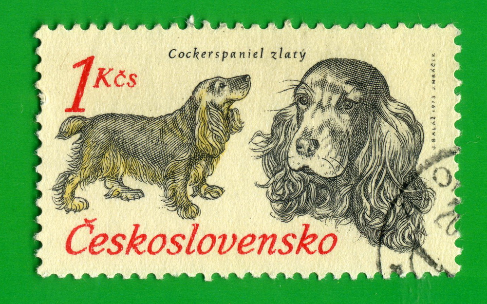 18517152.jpg 18517152.jpg